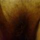 Private Photo of Morettina88