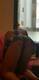 Private Photo of Maya_75