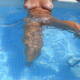 Private Photo of diavolettarossa