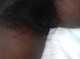 bush