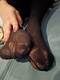 Private Photo of FeetFetishFantasy