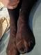 Private Photo of FeetFetishFantasy