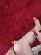 Private Photo of CinderellAfeet