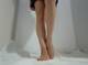 Legs