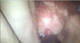 Private Photo of luciferas