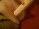 Private Photo of dolcevenere
