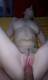 Private Photo of pinkpiggy