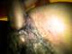 Private Photo of _Iltuosogno