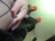 Private Photo of Rosa99773