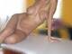 Private Photo of sexymediterranea