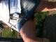 Private Photo of lunasexy67